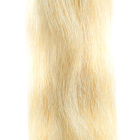 SOCAP Hair Extensions gewellt #20 - very light ultra blonde